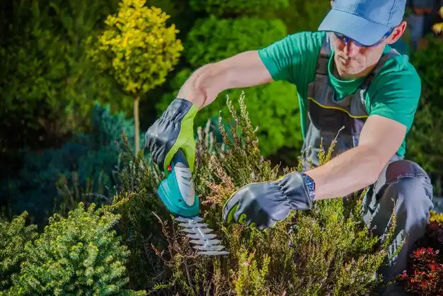 landscaping services Bluffton